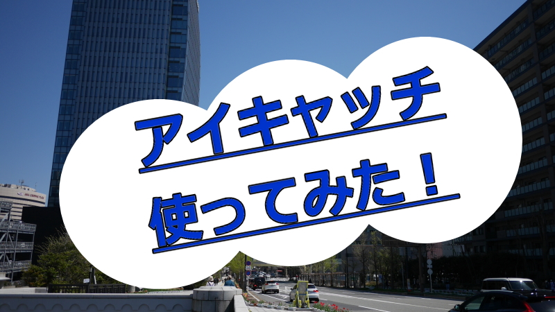 記事ごとにアイキャッチの有無jを設定